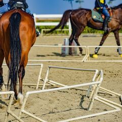 乗馬インストラクター(有資格者)