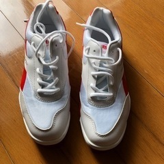 【ネット決済】『宮城野中学　上靴(赤)』　値下げしました！