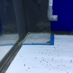 アクリル水槽　130 60 60