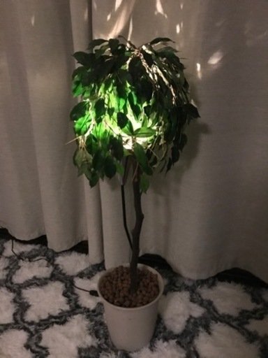 間接照明付人工観葉植物 Susy 古淵のその他の中古あげます 譲ります ジモティーで不用品の処分