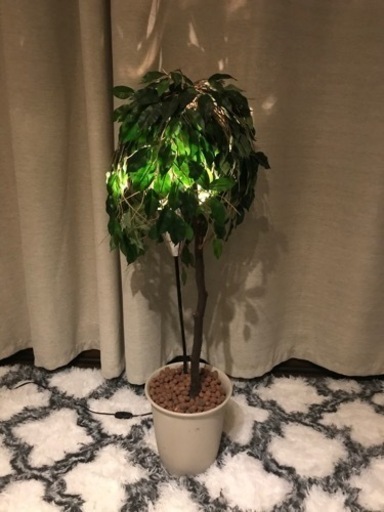 間接照明付人工観葉植物 Susy 古淵のその他の中古あげます 譲ります ジモティーで不用品の処分