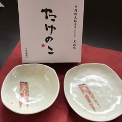 お皿　２枚❗️片岡鶴太郎オリジナル🎶