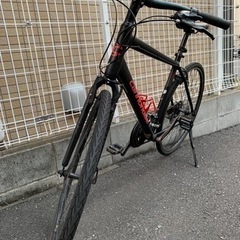 キャノンデール　クロスバイク　サイズL