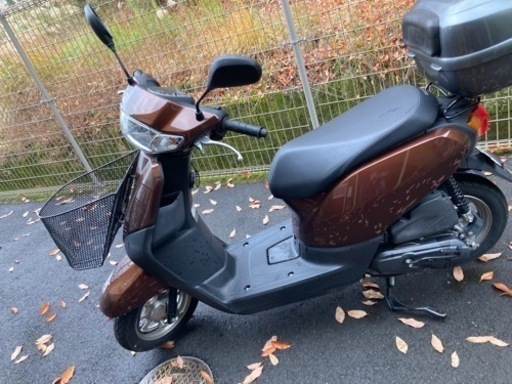 タクト 平成31年式 | parabarberos.co