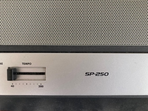 電子ピアノ KORG SP-250 コルグ KORG SP-250 電子ピアノ 88鍵盤 2012年製