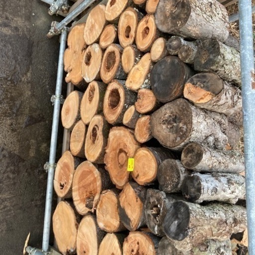 サクラ・リンゴ等の玉切り丸太 サクラ・リンゴ等の玉切り丸太