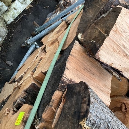 サクラ・リンゴ等の玉切り丸太