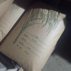 令和3年新米コシヒカリ玄米30kg