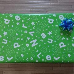 新品 Nintendo Switch 本体 あつまれ どうぶつの森 同梱版