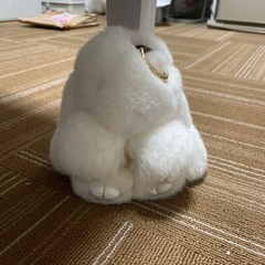 うさぎ　ぬいぐるみ