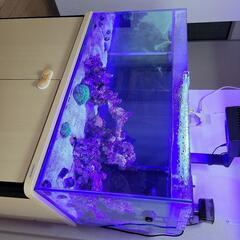 海水水槽セット一式