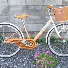 【ネット決済】女児用　２２インチ自転車　ブリヂストン製　エコパル