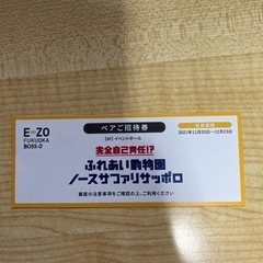 【ネット決済・配送可】E･ZO福岡ノースサファリサッポロペアチケット