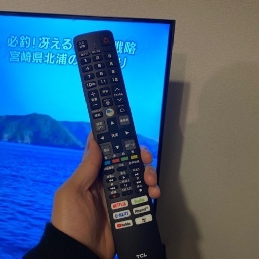 50型TV21年５月購入