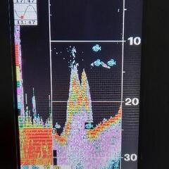 HONDEX 　ホンデックス　PS-511CN-E 4.3型 ワイドカラー液晶　GPS内蔵　ポータブル　魚群探知機