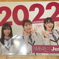【断捨離 多数出品中】 NM48 2022年カレンダー 家に眠っ...