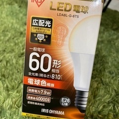 40型&60型LED電球（電球色）