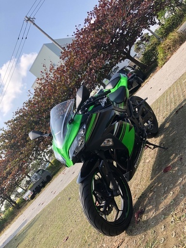 カワサキ Kawasaki ninja 250