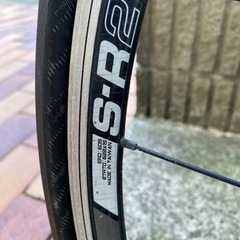 ジャイアント　XSサイズ