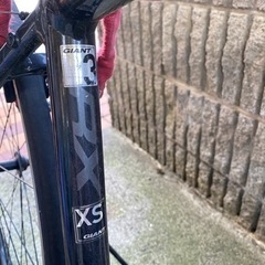 ジャイアント　XSサイズ