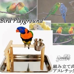 鳥とまり木