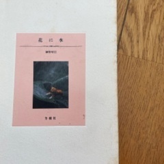 細野晴臣　花に水　カセットブック