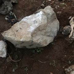 庭石、溶岩石