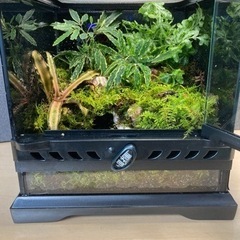 20キューブ・グラステラナノキューブ　レイアウト水槽