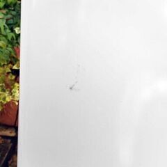 ✨⛄✨リニューアル大セール❕✨⛄✨2017年式🎅日立⛄NW-50A🎅5.0kg⛄全自動洗濯機🎄低水位で洗ったあと水を追加して通常の水位で洗う「2ステップウォッシュ」を採用🧸1126-39 ✨⛄✨