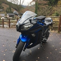 ninja250の部品交換と整備(現在保留中)