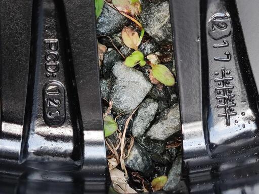 BMWアルミ+タイヤ 現金決済用 - 車のパーツ 