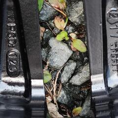 BMWアルミ+タイヤ 現金決済用