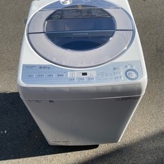 シャープ 全自動洗濯機 8kgタイプ シルバー系 ESGV8B-S