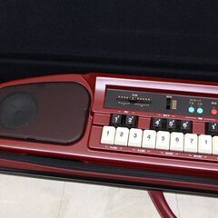 SUZUKI スズキ 電子大正琴 野ばら TES-370 和楽器 ハードケース付き