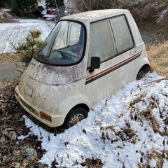 【希少！】ミツオカ・アビーキャロット 不動