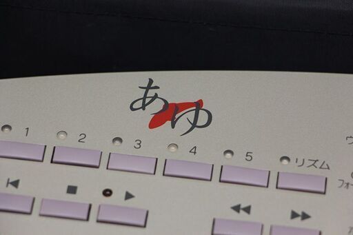 スズキ TES-151 電子大正琴 SA-22 アンプ SUZUKI あゆ (E1159kwknY)