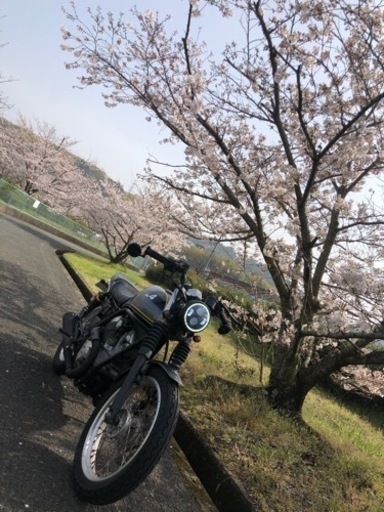 SRV250 フルレストア後フルカスタム　書類あり　YAMAHA SRV250 フルレストア後フルカスタム 書類あり YAMAHA