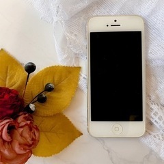 iPhone5 16GB 新品購入