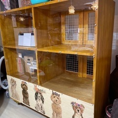 ペットショップ用ケース