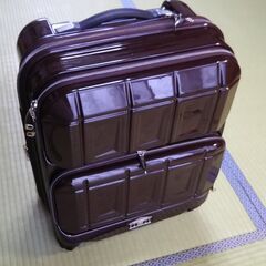 キャリーケース 機内持ち込みSサイズ（PANTHEON 36L ...