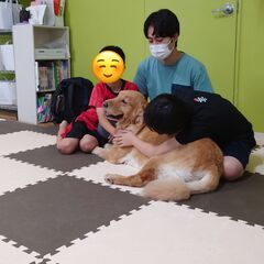 【犬好き集まれ！】昇給・賞与あり◎手当充実☆ブランク可・年齢不問...