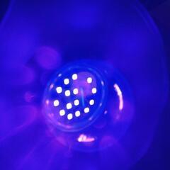 🟣LED紫外線電球🟣E26口径🟣