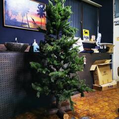 【ネット決済】クリスマスツリー　　大型