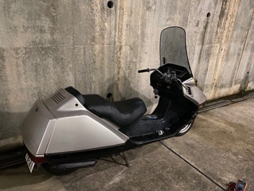 フュージョン　ローダウン車