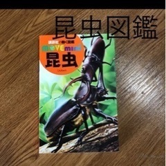 昆虫図鑑☆