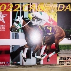 2022南関東4競馬場カレンダー