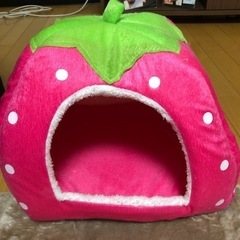 【ネット決済】イチゴのペットベッド