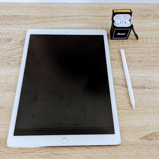 iPad Pro 12.9インチ ペン\u0026イヤフォンセット