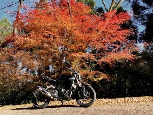 今月中限定CB250R 値下げしました！