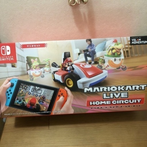 任天堂Switch 有機EL パンダカラー、マリオカートライブ マリオセットその他おまけ